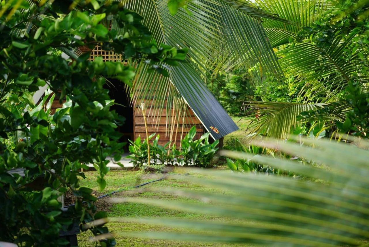 Hotel Bewak Cr Tortuguero Zewnętrze zdjęcie
