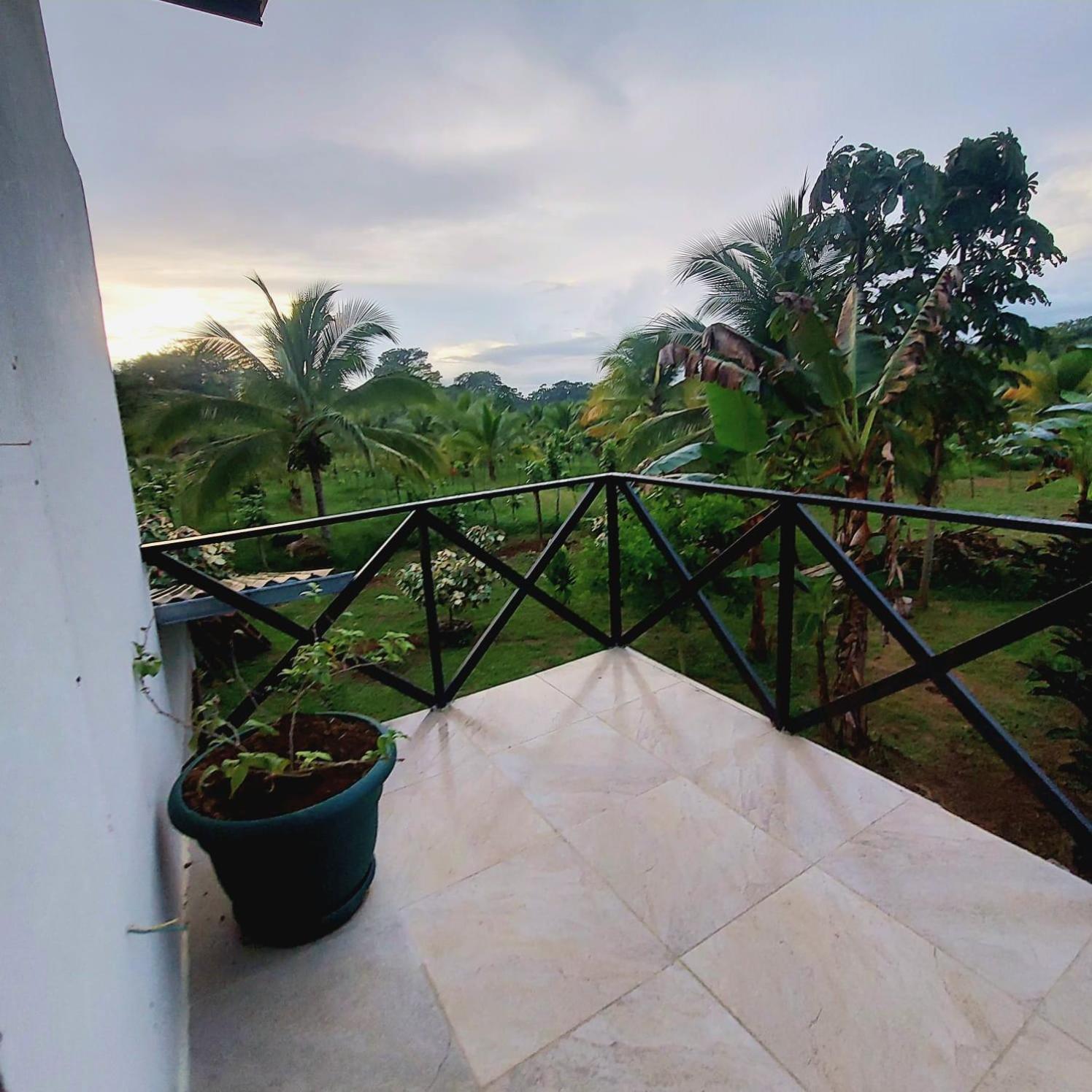 Hotel Bewak Cr Tortuguero Zewnętrze zdjęcie